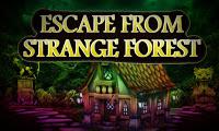 play Top10 Escape From Strange Forest