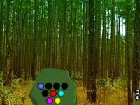 play Grasshopper Forest Escape