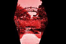 play The Park Of Blark