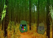 play Grasshopper Forest Escape