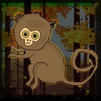 play Games2Jolly Pygmy Marmoset Escape