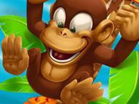 play Monkey Bounce