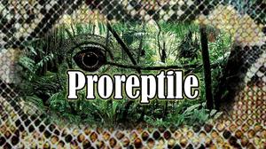 play Proreptile