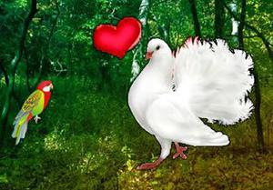 play Love Pigeon Forest Escape