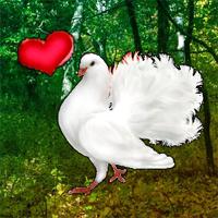 play Love Pigeon Forest Escape