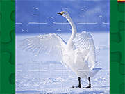play Graceful Swans Puzzle