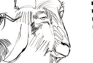 play Goat Game
