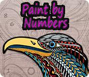 Paint By Numbers