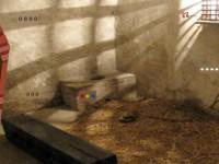 play Castle Prison Cell Escape