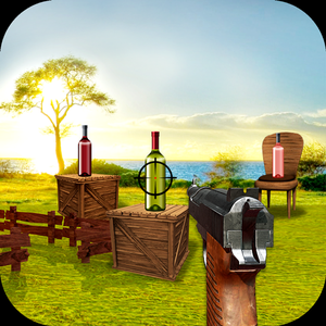 Bottle Shooter 3D