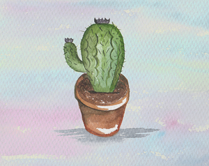 play How To Take Care Of Your Cactus