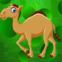 play Games4King Beloved Camel Escape