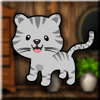 Games2Jolly Tabby Cat Escape