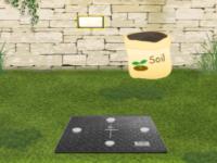 play Dandelion