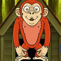 play Games2Jolly Red Monkey Escape