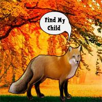 play Find The Fox Child