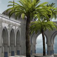 play 365 Magic Palace