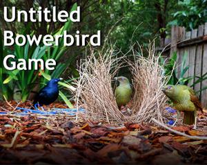 play Untitled Bowerbird Game