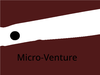 play Micro-Venture