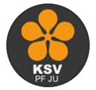 play Občanka Nebo Zsv?