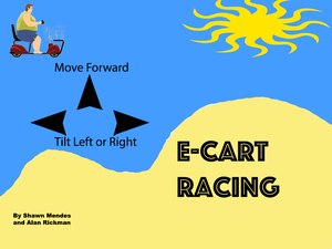 play E-Cart Racing!