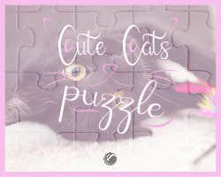 play Cute Cats Puzzle