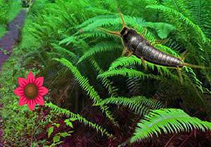 play Silverfish Forest Escape