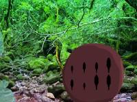 play Silverfish Forest Escape