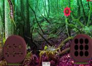 play Silverfish Forest Escape