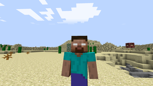 play Random Shooter