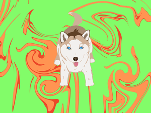 play Pawpuzzles