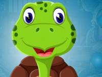 play Pleasing Tortoise Escape