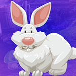 play Anile Bunny Escape