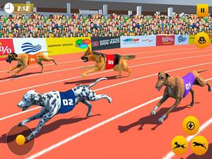 play Dog Race Sim 2020: Dog Racing
