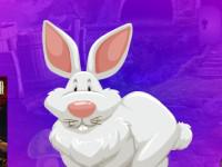 play Anile Bunny Escape