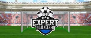 play Expert Goalkeeper