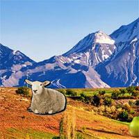 Mountain-Sheep-Escape