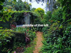 play Middle Of The Hill