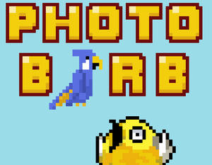 play Photobirb