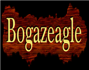 play Bogazeagle