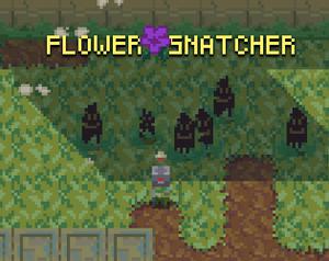 Flower Snatcher