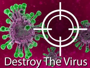 play Destroy The Virus