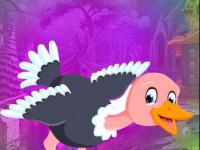 play Ostrich Escape