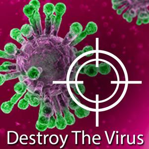 play Destroy The Virus
