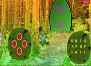 play Spruce Forest Escape