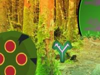 play Spruce Forest Escape