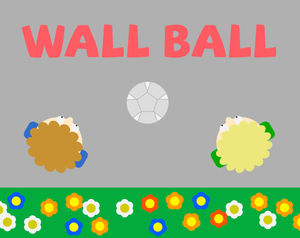 play Wall Ball