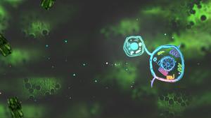 play Precious Cellular Divisions