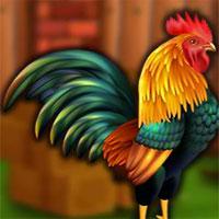 play G2J Asil Chicken Escape