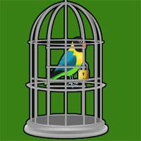 play Mountain Valley Parrot Escape